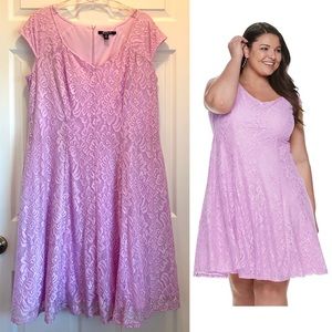 Suite 7 Lace Fit & Flare Dress